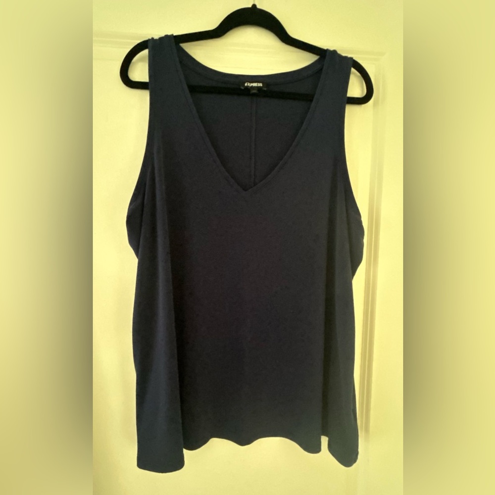 Express V-Neck Top - Picture 1 of 3